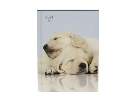 Agenda 2021 my favourite friends dogs