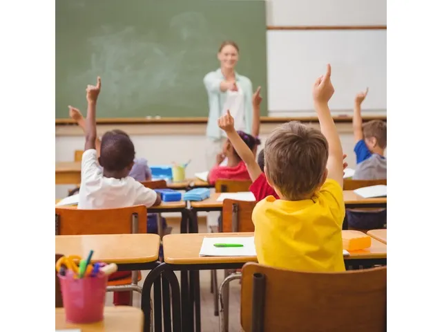 Vulpen Schneider Wavy SIS- display 30 stuks Engels