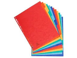 Tabbladen glanskarton 225g 12-delig A4 maxi Assorti