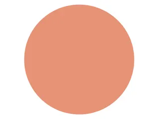 Markeerstift STABILO Boss 70/175 nature colors sienna - 4