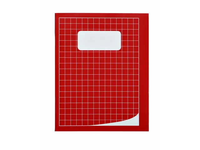 Schrift Qbasic 210x165mm ruit 10mm 80blz 70gr assorti