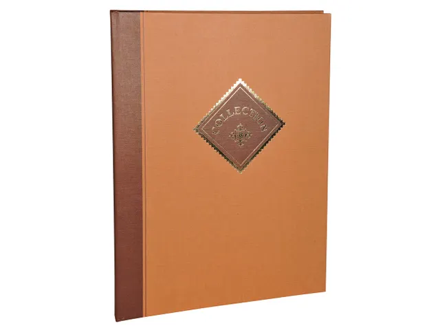 - Couleurs assorties