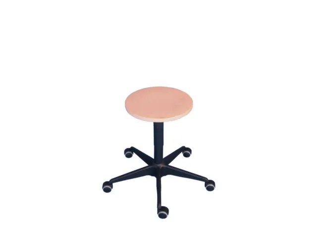 Draaikruk 500-690mm Beuken Gasveer Zwart Voetkruis Afdekking Wielen