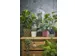 Kunstplant Mica Pilea in pot Ø11,5cm 35x25cm