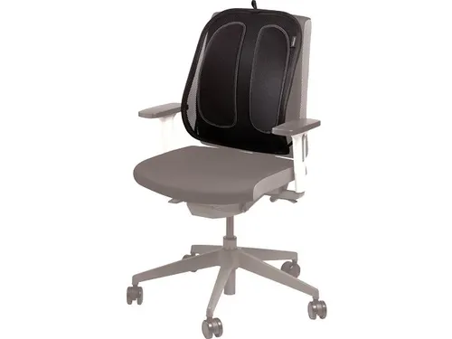 Rugsteun Fellowes Office Suites Gaas 512x409x141 mm zwart