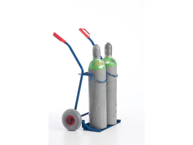 Diable Pour Bouteilles Force 100 kg 2bouteilles De 20 l Bandage Pneu