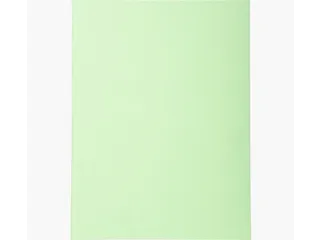 Vouwmap Exacompta Forever A4 170gr grasgroen - 1