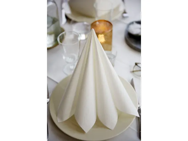 Serviette Dunilin Luxe 40x40cm Blanc 12x 45 pièces