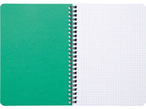 FOREVER spiraalschrift A5 90g geruit groen