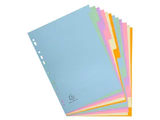Tabblad recycled kar ton 170g A4 12 tabs - 1