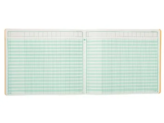 Registers 27 X 32 Cm 13 Kolommen Op 1 Bladzijde