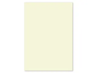 Papier Kangaro A4 80grs ivoorwit pak 100 vel - 3