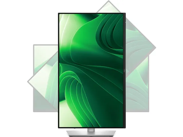 Ecran PC 24 inch LCD DELL Pro Plus P2425DE Quad HD noir/argent