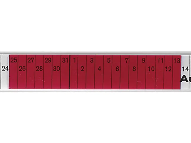 insteekbord,HxB 27x76mm,kunststof,rood transparant