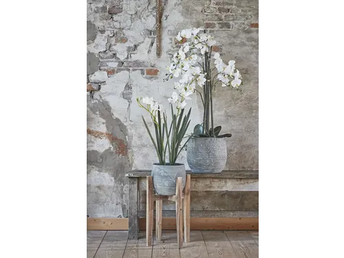 Kunstplant Mica Phalaenopsis orchidee wit in plastic pot 79x51cm