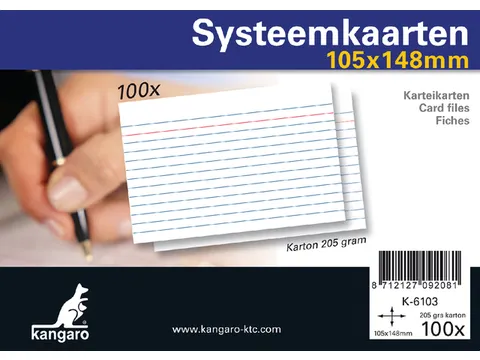 Systeemkaarten A6 105x148mm 100 stuks