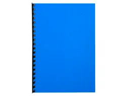 Pk 100Vl Forever Fra Nce Blauw A4 270G