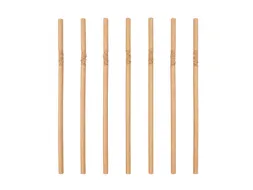 Drinkrietje IEZZY karton buigbaar Ø 6x240mm 100% fair 200 stuks bruin