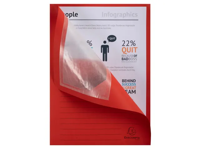 50 Venstermappen Forever 22x31cm Assorti