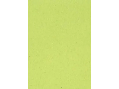 Gekleurd Tekenpapier Lichtgroen A4 120g