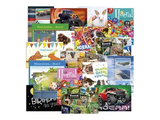 Beloningsposter-kaart De Stulp felicitatie A4 assorti - 1