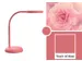 bureaulamp MAULjoy, LED-lamp, roze