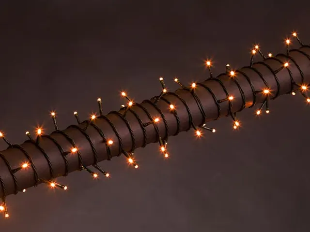 Stella LED - 20m - 300 Leds - Arizona WIT - Groene Kabel - 24 V