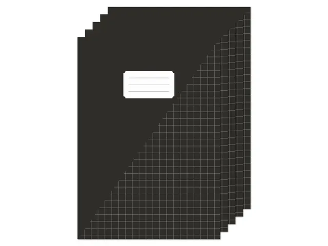 Schrift Kangaro A4 ruit 10mm zwart pak a 5 stuks