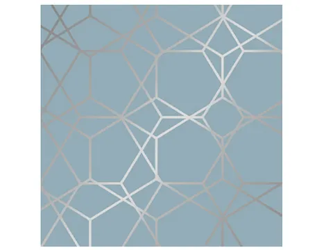 Rouleau pour appareil Diamond Greyblue 50cmx200m