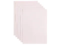 Kopieerpapier Papicolor A4 100gr 12 vel lichtroze