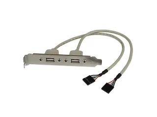 2-poort USB A Vrouwelijke Adapter Slotplaatje - 1