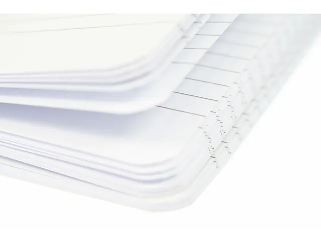 Carnet de notes Pure Croco A6 ligné 5 couleur 80gramme 160pages 2 rub