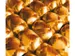 Polyband Haza 5mm x 250m metallic goud