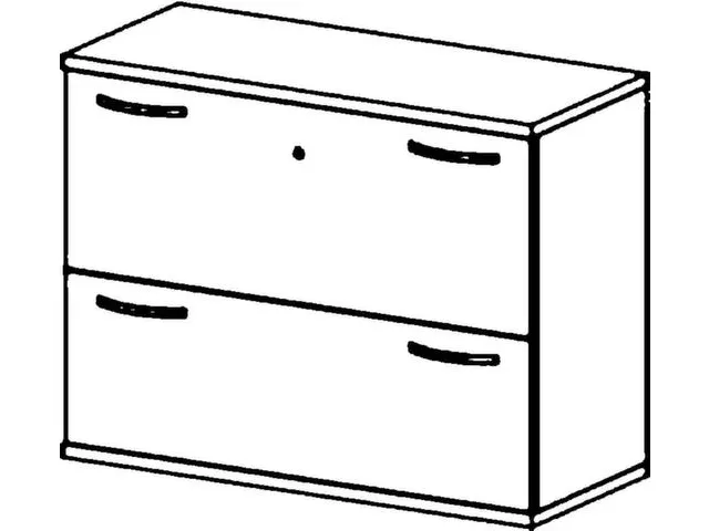 Armoire pour dossiers suspendus 770x1000x430mm Onyx/hêtre