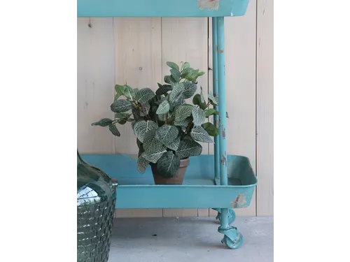 Kunstplant Mica Pilea in pot Ø11,5cm 35x25cm