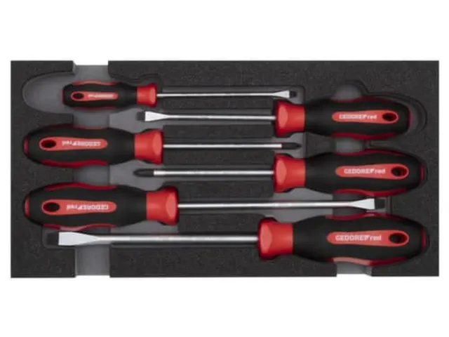 GEDORE RED R22150013 Schroevendraaierset PH+SL 2/6 CT module 6-delig