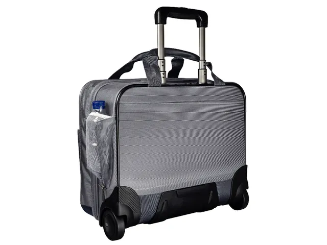 Carry-On Trolley Leitz Complete Smart Grijs Polyester 15.6 inch