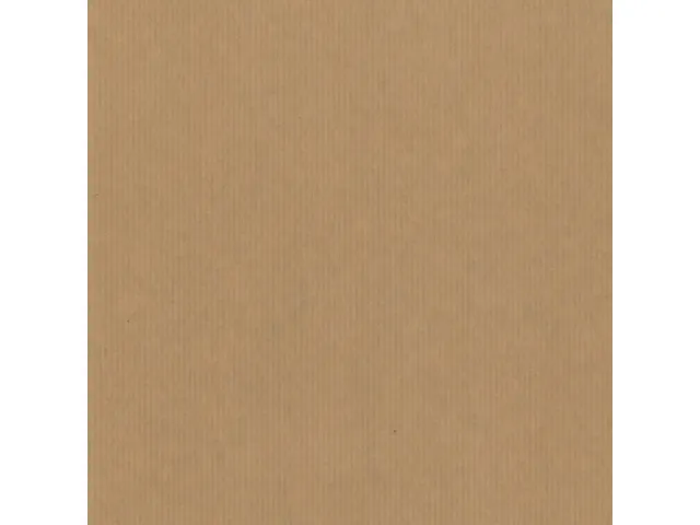 Cadeauzak Special Wrap 12x19cm kraft zwart en wit assorti à 1000 stuk