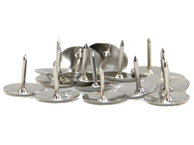 Punaises zilver 100 stuks