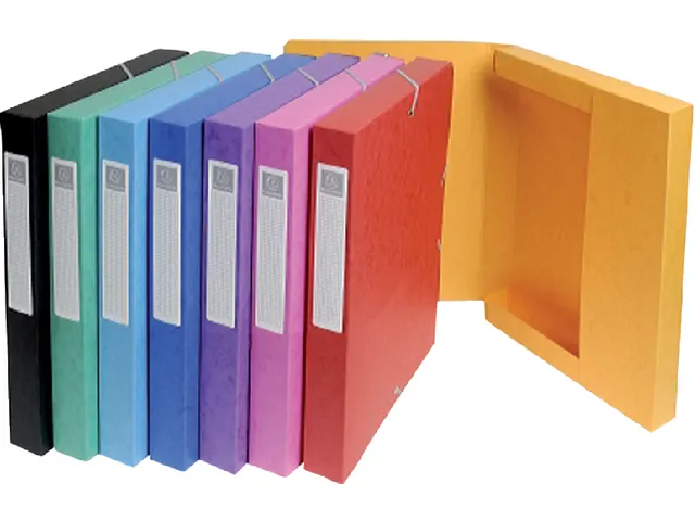 Elastobox Exacompta A4 25mm 600gr assorti karton