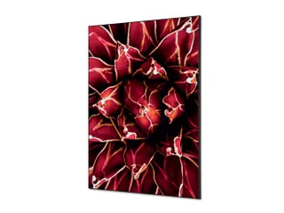 Wanddecoratie Textiel Set A1 Cactus Rood - 1