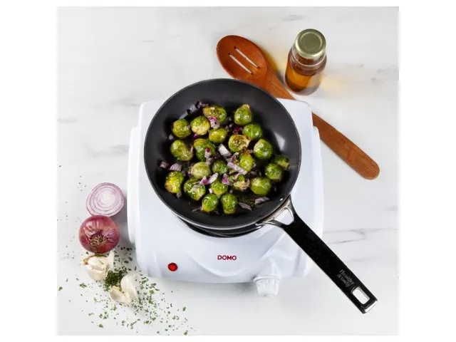 Domo Kookplaat Elektrisch 1 Pit 6 Standen 18,5 cm 1500W
