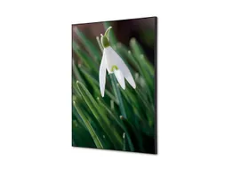 Wanddecoratie Textiel Set A2 Witte Bloem Sneeuwklokje