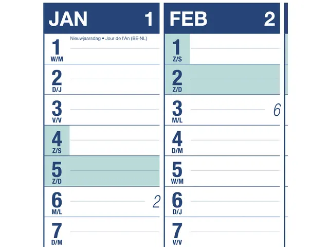 Muurplanner Kangaro 2025 NL/FR uitwisbaar 70x100cm met gratis marker e