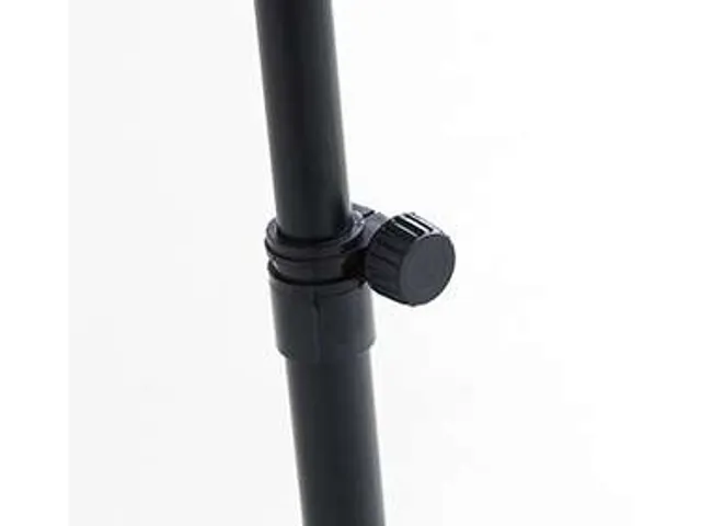 Lezenaar beuken kolommodel