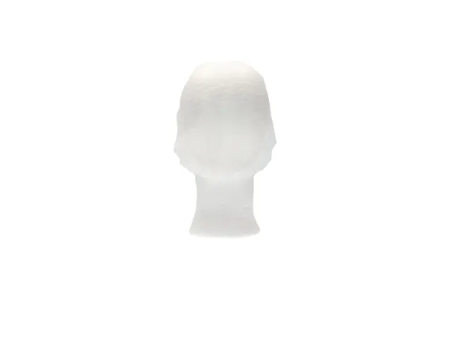 Haarnet CMT clip non-woven M 50cm PP wit 100 stuks