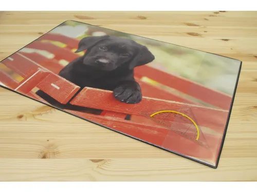 Bureauonderlegger Kangaro PP 38x58cm dessin Labrador Zwart