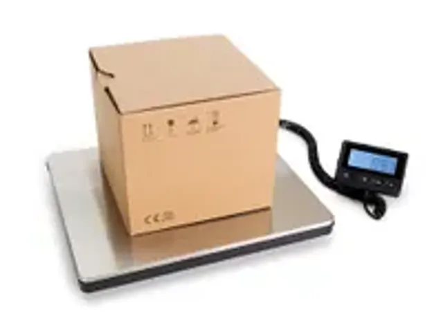 OUTLET Digitale Postweegschaal Met Extern Display - 100kg / 10g