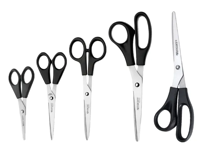 Ciseaux Westcott Buro 171mm inox manche plastique