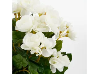 Kunstplant Mica Begonia wit in pot Stan grijs 25x30cm - 7